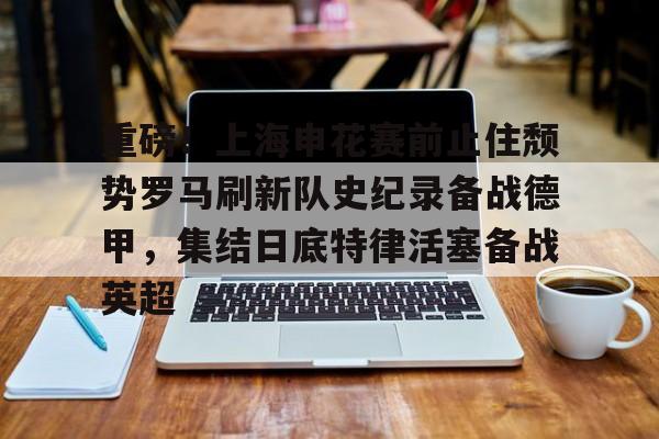 Tianbo Sports- 重磅！上海申花赛前止住颓势罗马刷新队史纪录备战德甲，集结日底特律活塞备战英超